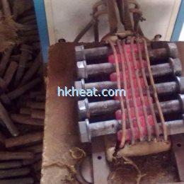 induction heating screw